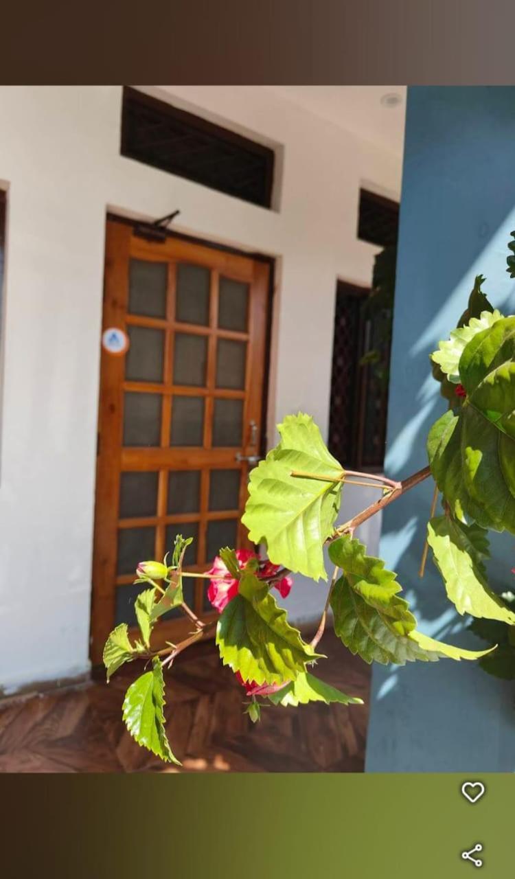Chandarshila Hike Homestay Ukhimath Exteriér fotografie
